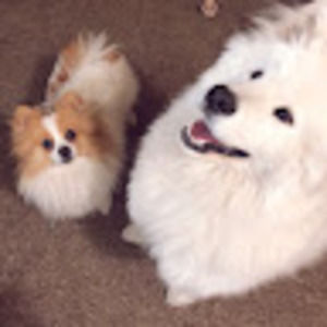 Meet your Posher, Haixi